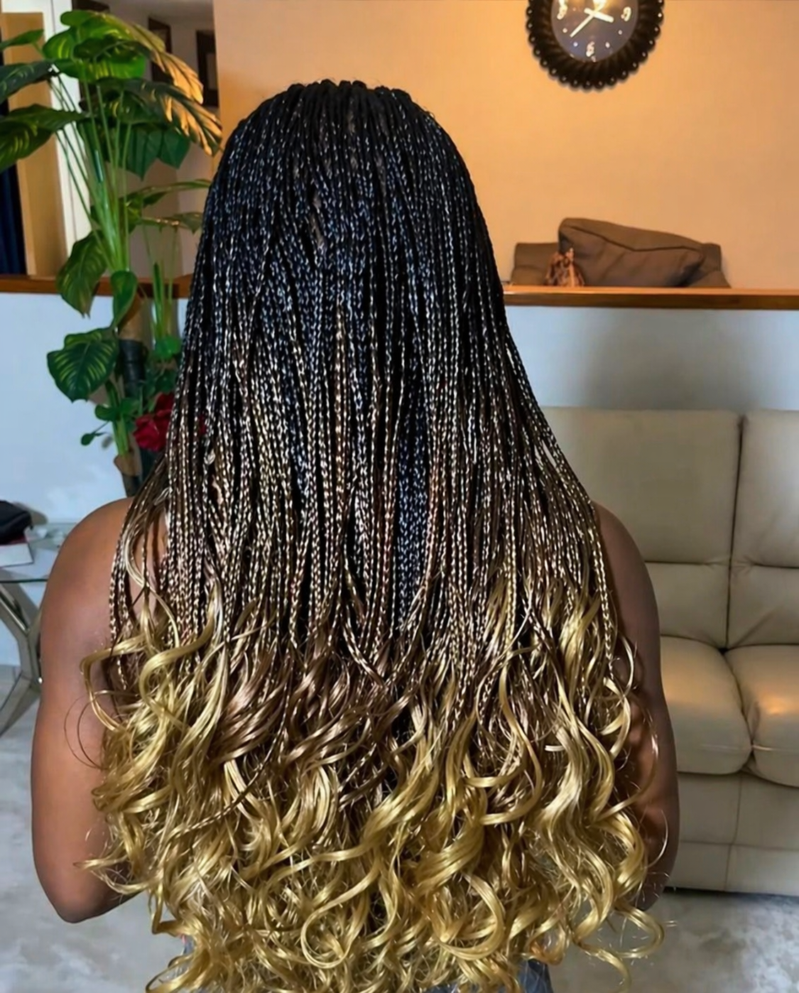 Braids/Hair